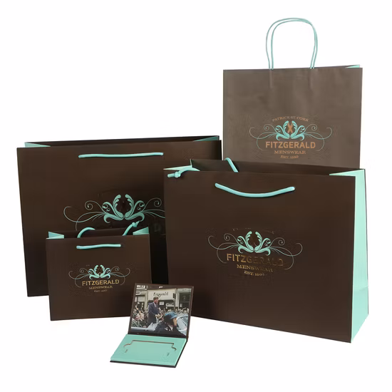 Пользовательские модные бумажные пакеты для покупок с логотипом и принтом роскошных подарков с ручкой